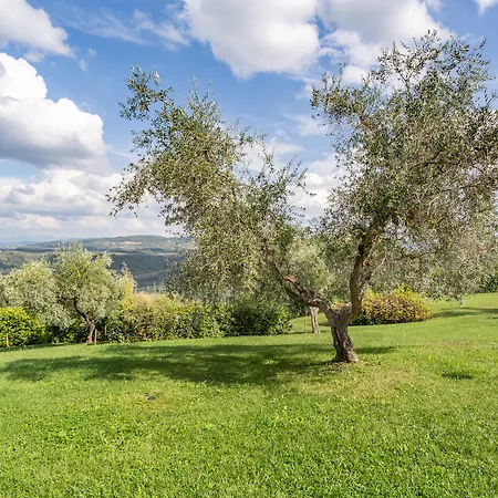 Fattoria Querceto
